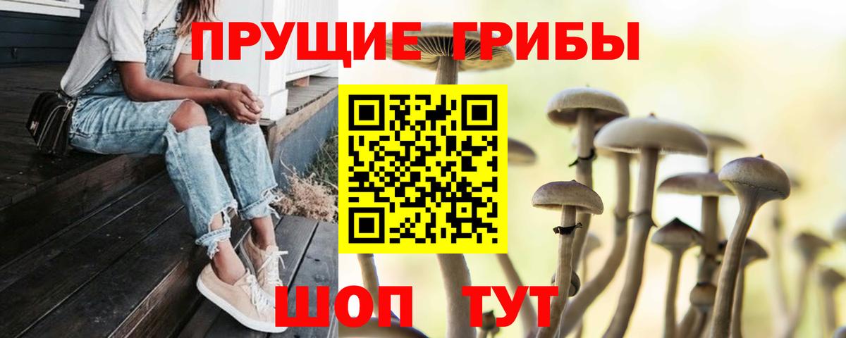 Нальчик  Псилоцибиновые грибы прущие грибы  Вход с VPN 